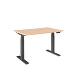 Series L 3S Adjustable Height Desk