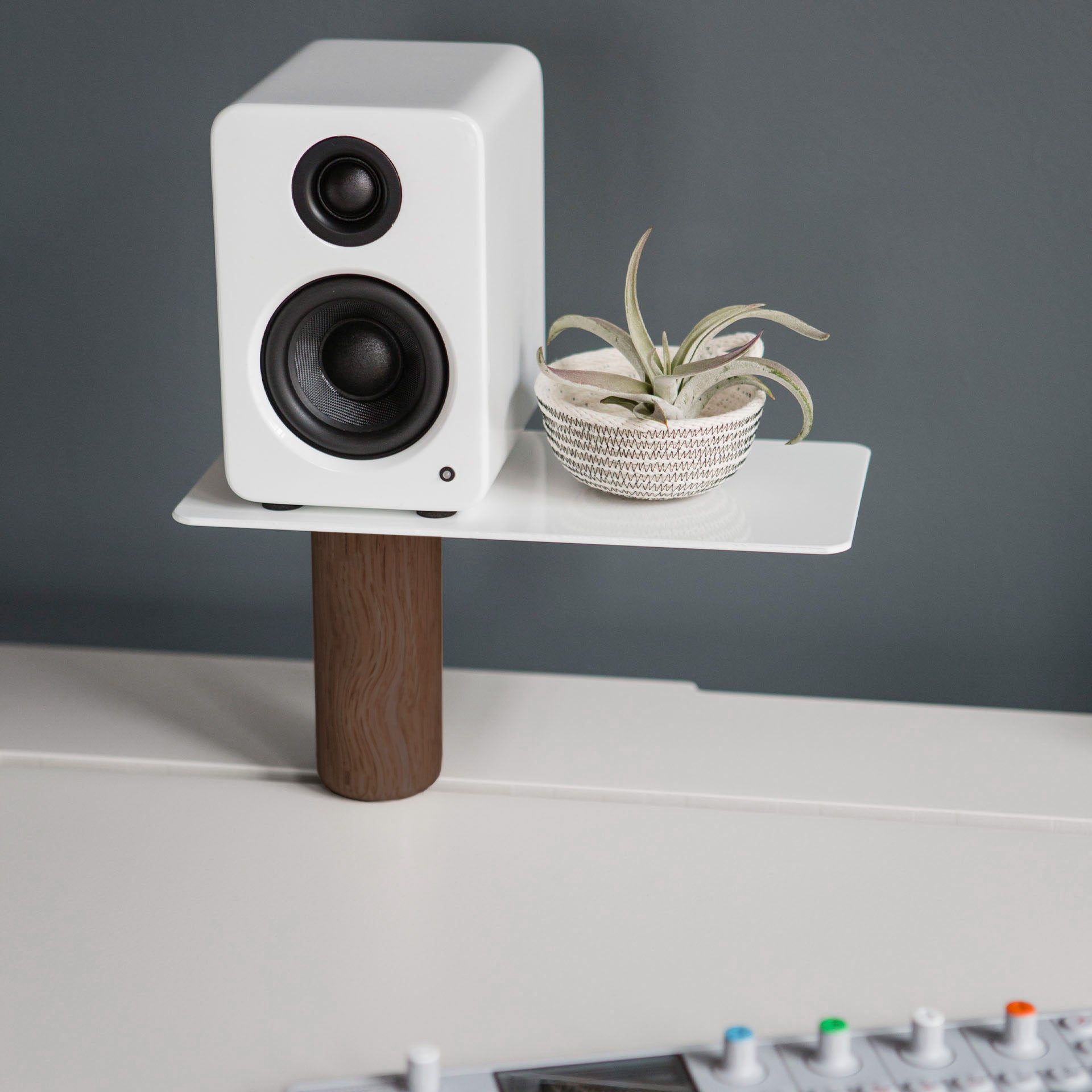 Small Stand - Walnut + White (Limited Edition)